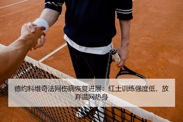 de-yue-ke-wei-qi-fa-wang-shang-bing-hui-fu-jin-zhan-hong-tu-xun-lian-qiang-du-di-fang-qi-wen-wang-re-shen-2-294.jpg